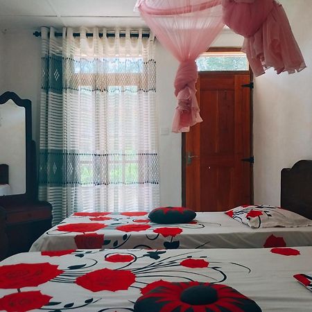 Pleasure Mount Homestay Ella Εξωτερικό φωτογραφία