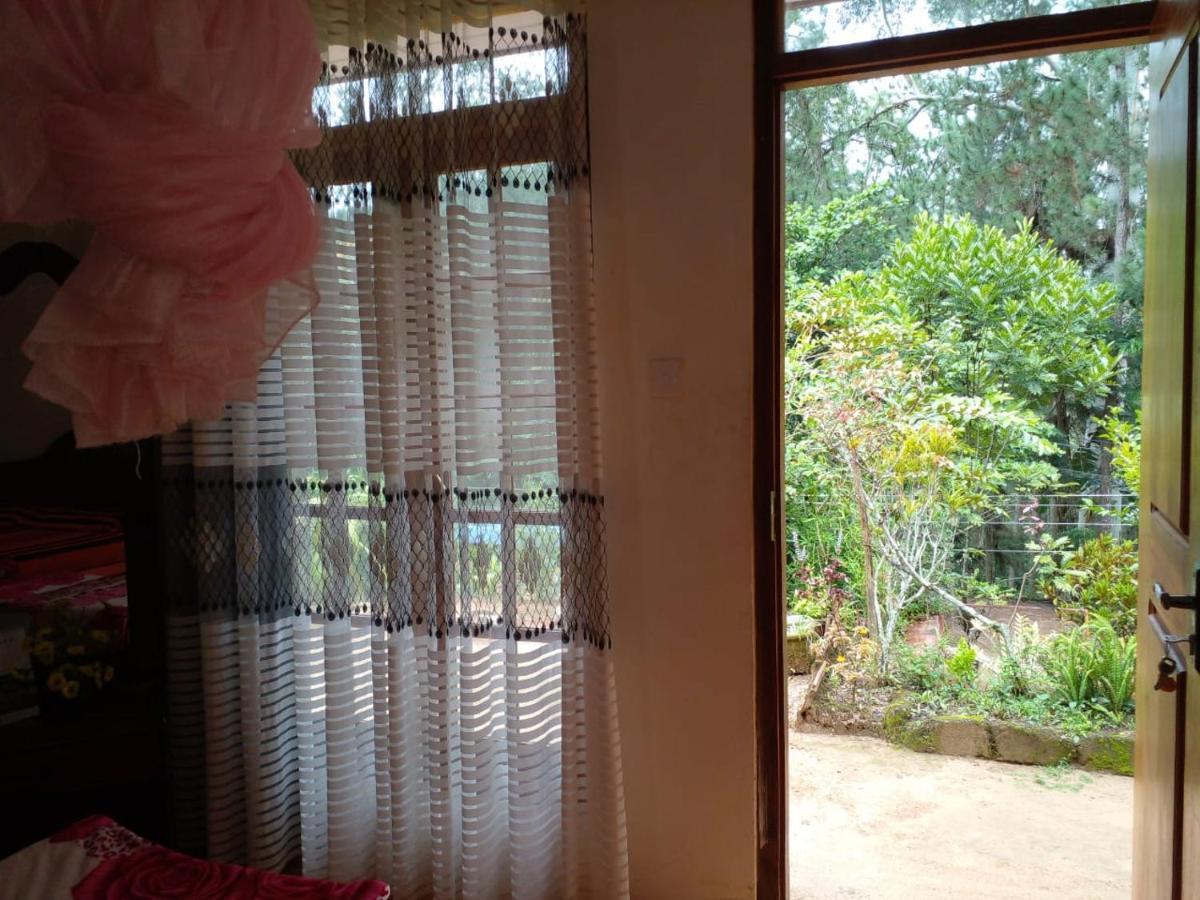 Pleasure Mount Homestay Ella Εξωτερικό φωτογραφία